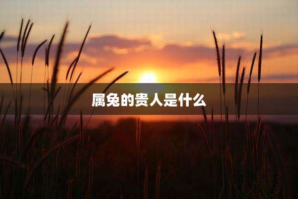 属兔的贵人是什么