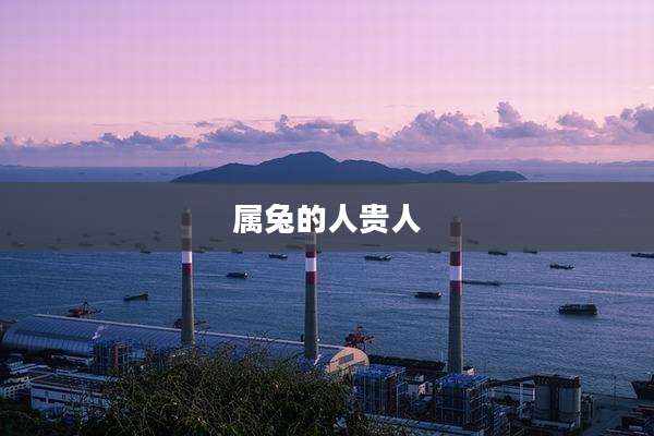 属兔的人贵人