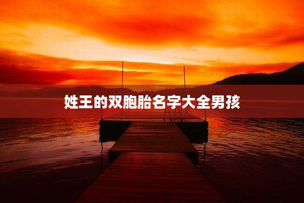 姓王的双胞胎名字大全男孩