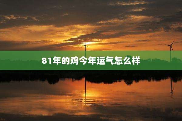 81年的鸡今年运气怎么样