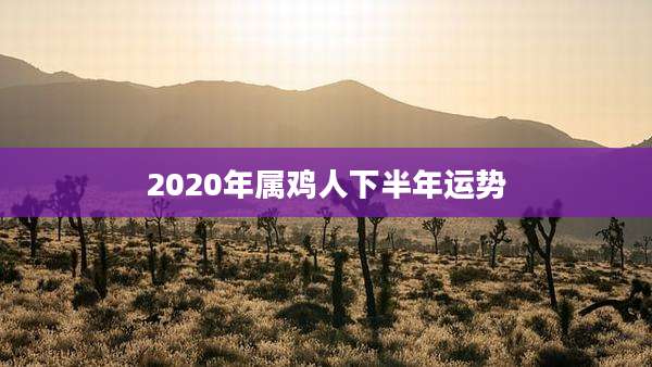 2020年属鸡人下半年运势
