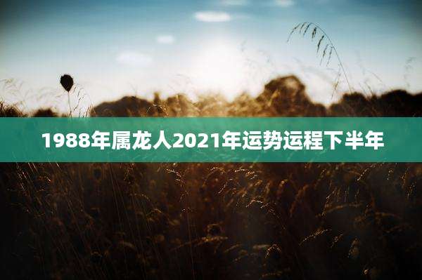 1988年属龙人2021年运势运程下半年