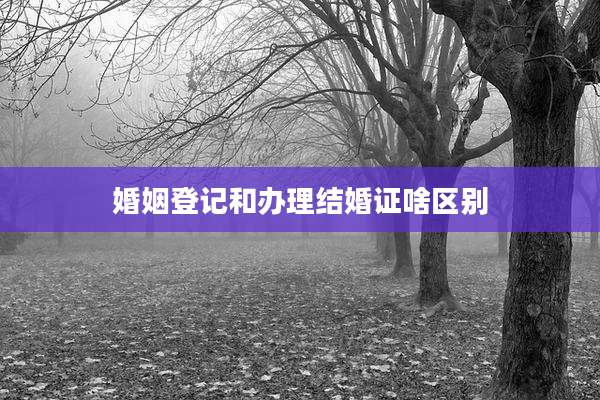婚姻登记和办理结婚证啥区别