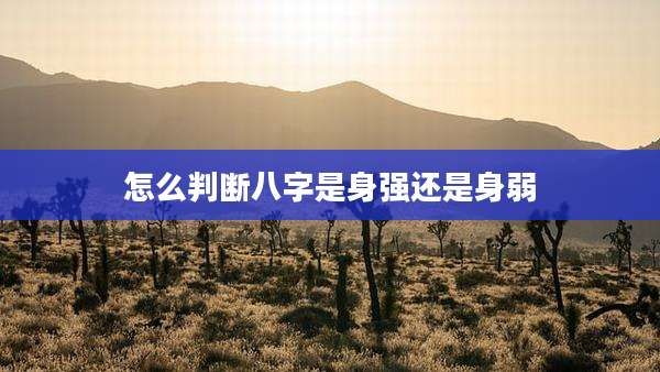 怎么判断八字是身强还是身弱