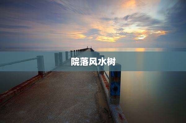 院落风水树