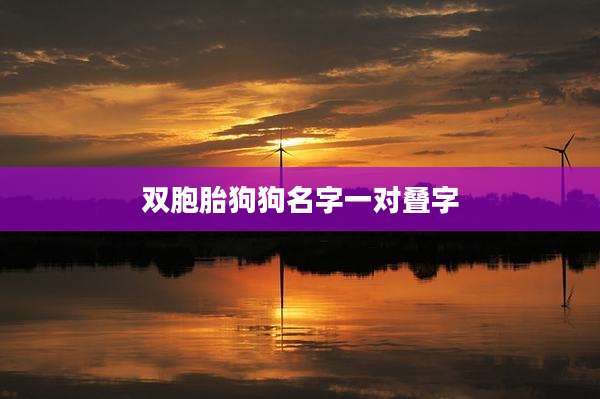 双胞胎狗狗名字一对叠字