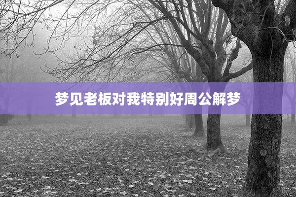 梦见老板对我特别好周公解梦