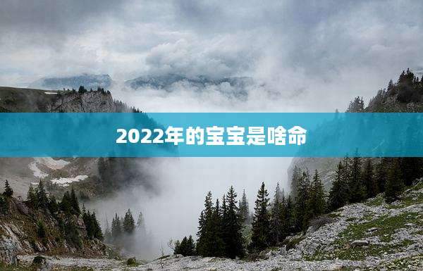 2022年的宝宝是啥命