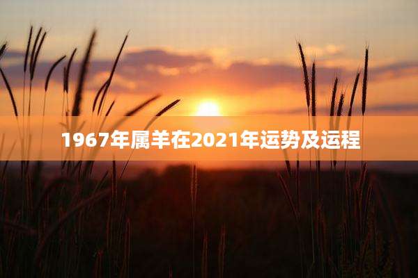 1967年属羊在2021年运势及运程