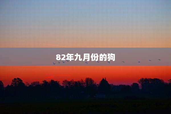 82年九月份的狗