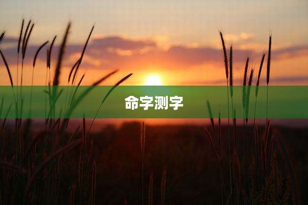 命字测字
