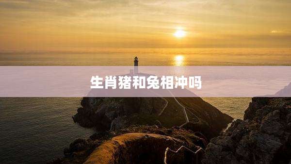 生肖猪和兔相冲吗