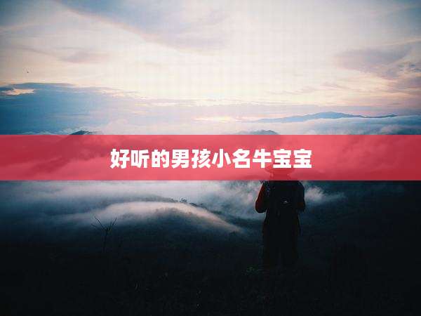 好听的男孩小名牛宝宝