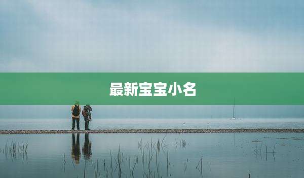 最新宝宝小名