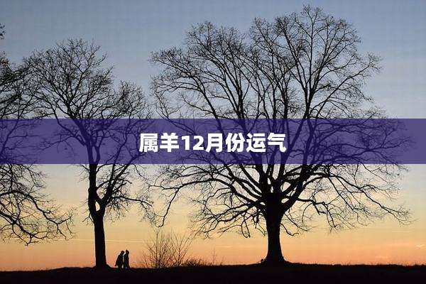 属羊12月份运气