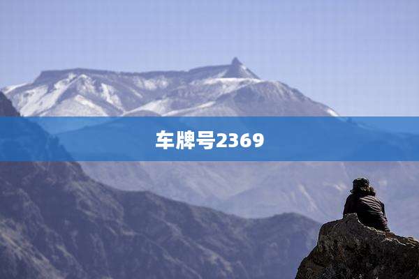 车牌号2369