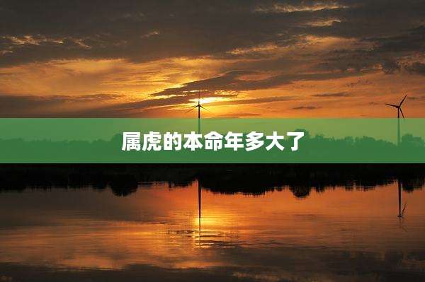 属虎的本命年多大了