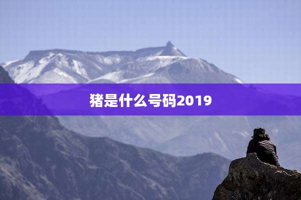 猪是什么号码2019