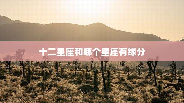 十二星座和哪个星座有缘分
