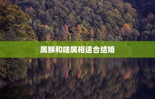 属猴和啥属相适合结婚
