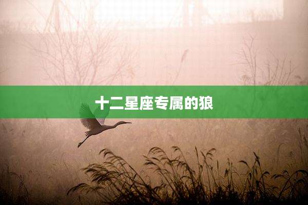 十二星座专属的狼