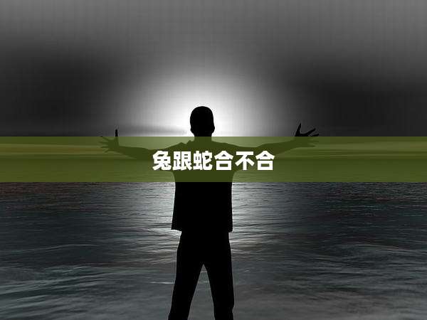 兔跟蛇合不合