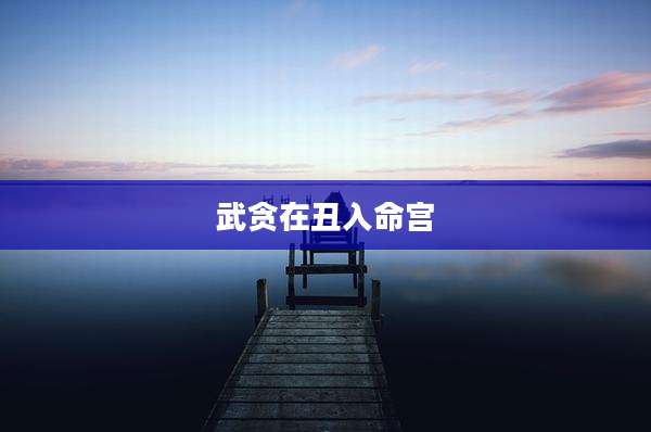 武贪在丑入命宫
