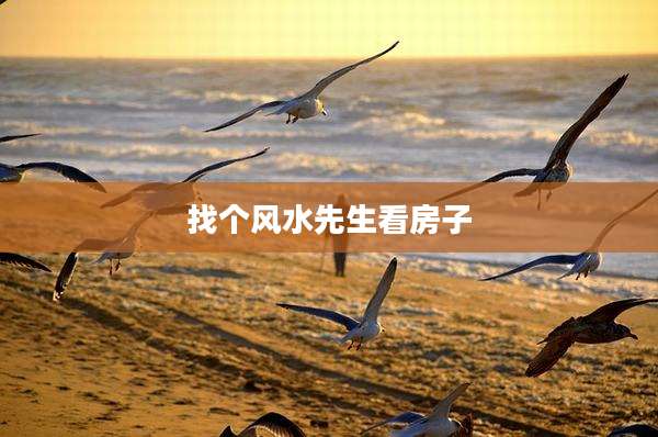 找个风水先生看房子
