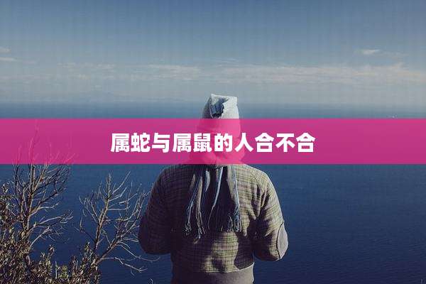属蛇与属鼠的人合不合