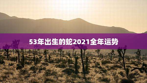 53年出生的蛇2021全年运势