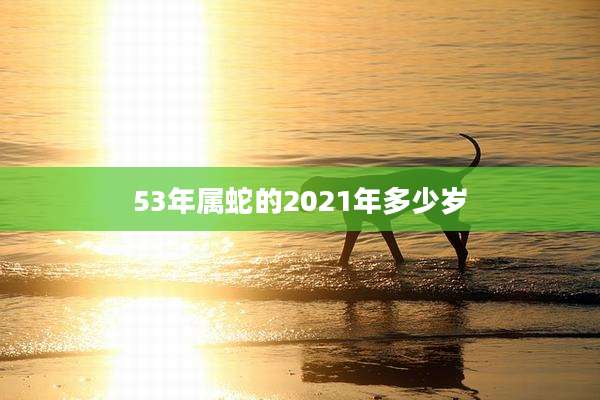 53年属蛇的2021年多少岁