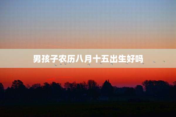 男孩子农历八月十五出生好吗
