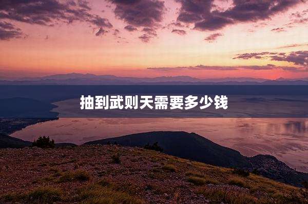 抽到武则天需要多少钱