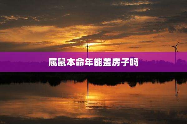属鼠本命年能盖房子吗