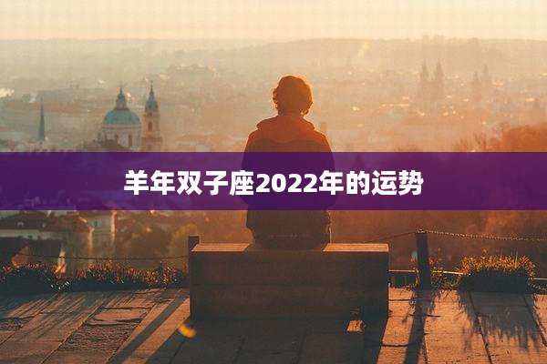 羊年双子座2022年的运势
