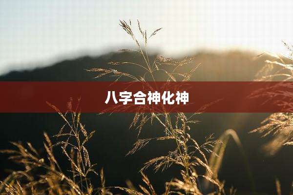 八字合神化神