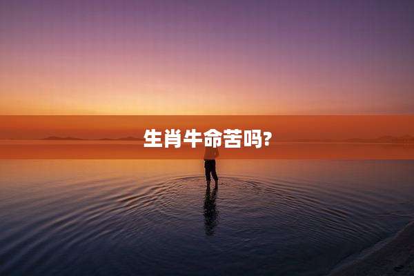 生肖牛命苦吗?