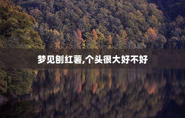 梦见刨红薯,个头很大好不好