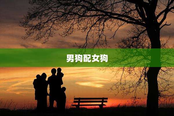 男狗配女狗