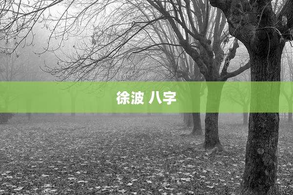 徐波 八字