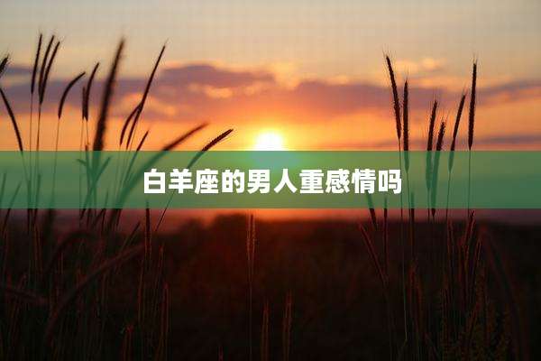白羊座的男人重感情吗
