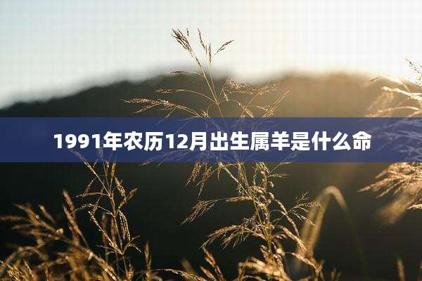 1991年农历12月出生属羊是什么命