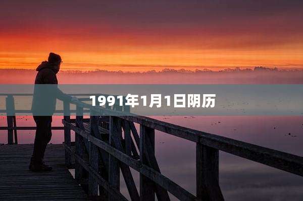 1991年1月1日阴历