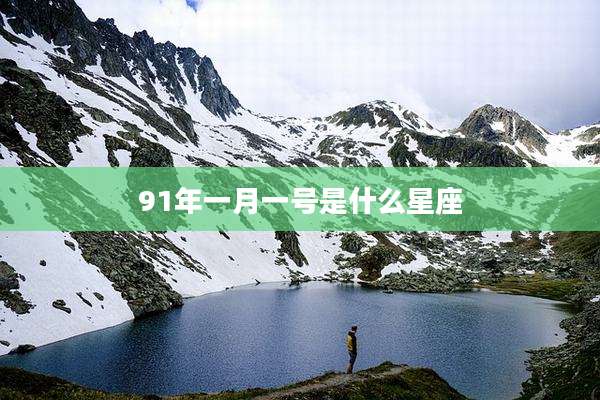 91年一月一号是什么星座