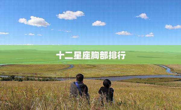 十二星座胸部排行