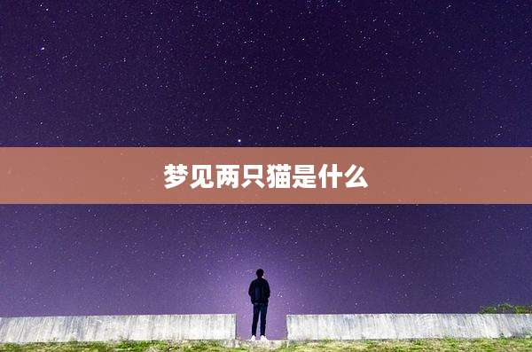 梦见两只猫是什么