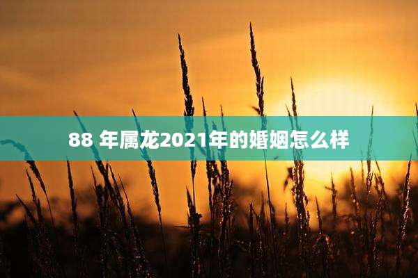 88 年属龙2021年的婚姻怎么样