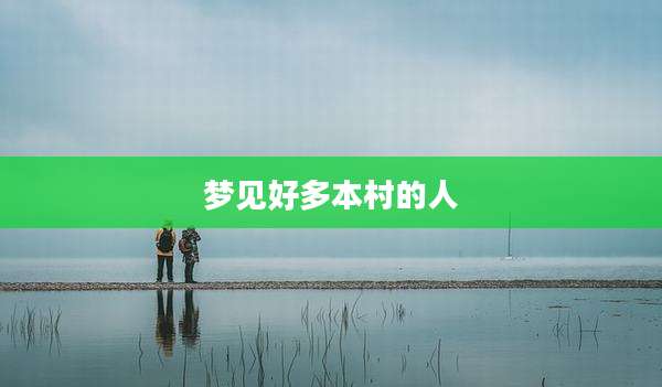 梦见好多本村的人