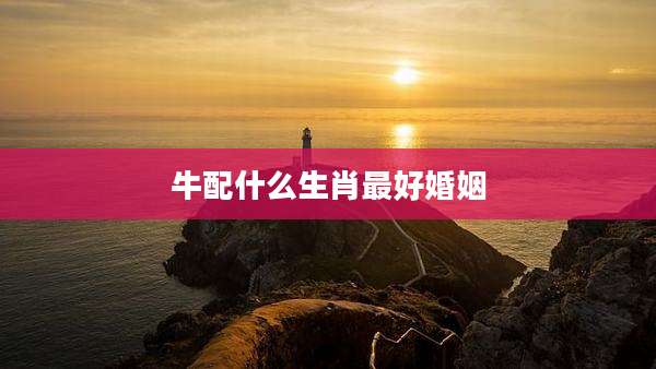 牛配什么生肖最好婚姻