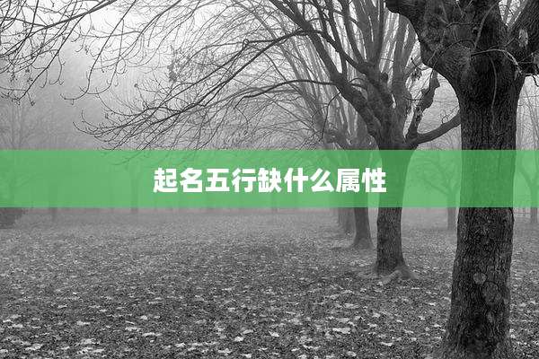 起名五行缺什么属性